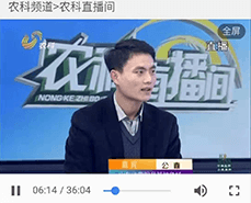 怎么保證長毛兔冬季的繁殖工作呢？