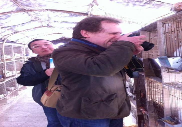 青島進出貿易公司和德國的朋友來華考察